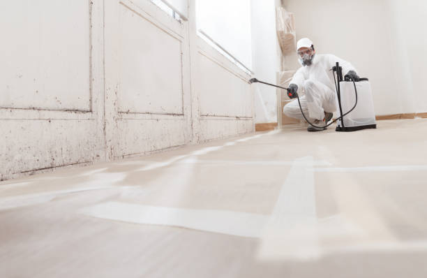 24/7 Emergency Mold Remediation experts in Sparta, IL